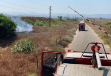 حريق شبّ في أعشاب و أشجار في محمية صور 112112