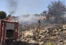 إخماد حريق شبّ في أشجار من الصنوبر والسنديان في الربوة-المتن 112112