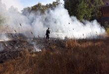 حريق شبّ في أعشاب في صوفر 112112