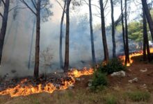 إخماد 5 حرائق في الضنية 112112