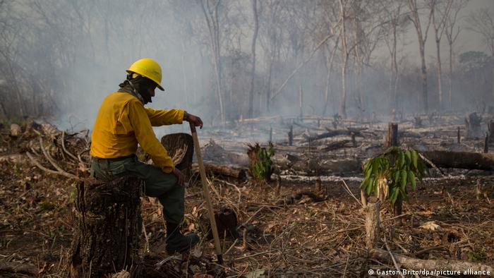 الحرائق في أمريكا اللاتينية