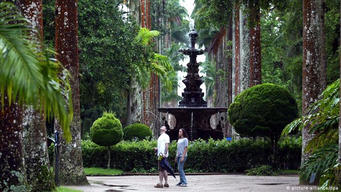 Brasilien: Botanischer Garten in Rio de Janeiro (picture-alliance/dpa)