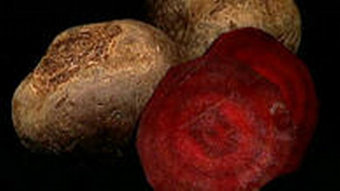 13.10.2010 DW-TV Fit und gesund Rote Bete 1