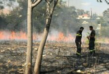 حريق شبّ في أعشاب وأشجار في شحيم 112112