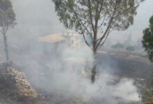 إخماد حريق أعشاب وأشجار مثمرة وصنوبر في بلدة دبين 112112