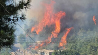 حريق في وادي عودي خراج بلدة عندقت العكارية 112112