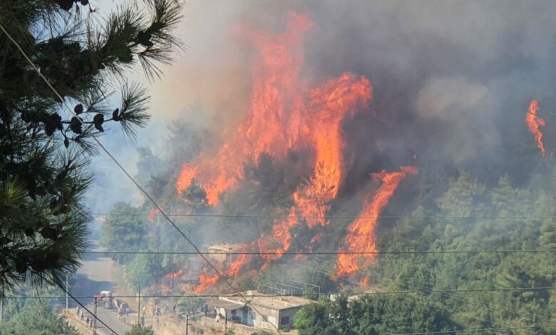 حريق في وادي عودي خراج بلدة عندقت العكارية 112112