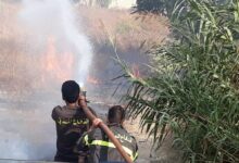 حريق شبّ في حقل من القصب في تلّ عمارة 112112