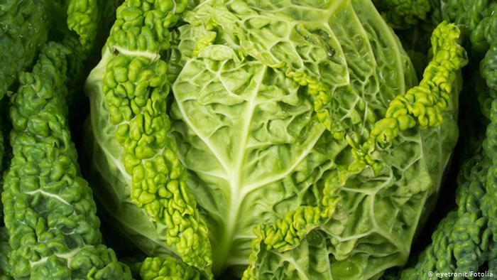 Savoy cabbage (eyetronic/Fotolia)