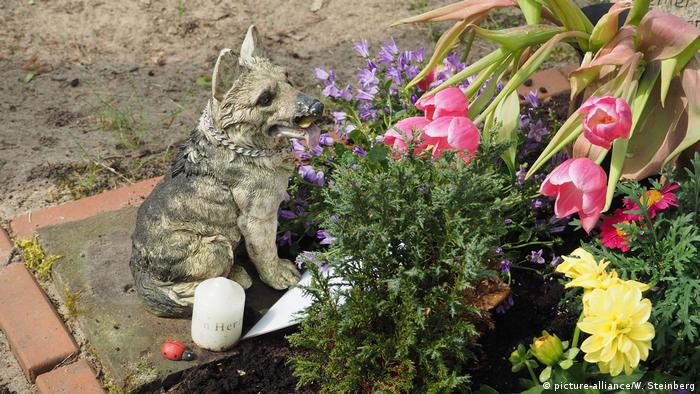 Hunde in Berlin - Hundegrab (picture-alliance/W. Steinberg)