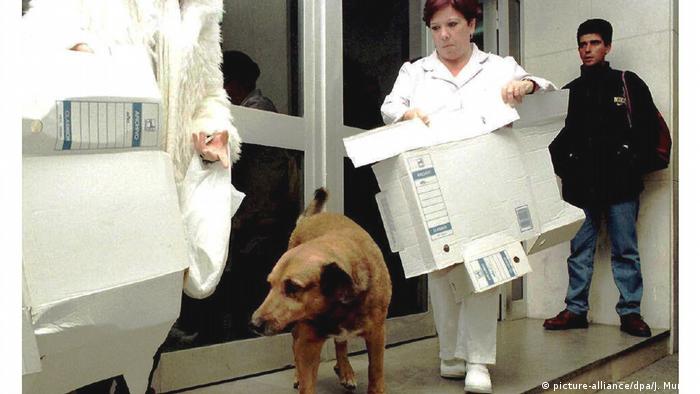 Treuer Hund (picture-alliance/dpa/J. Munoz)