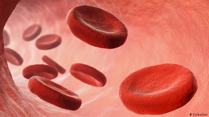 Blutzellen (Colourbox)