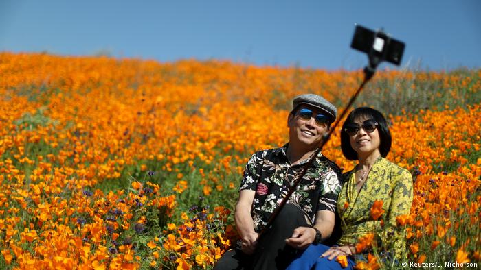 A couple sits with a selfie stick in a field of bright orange poppies A couple sits with a selfie stick in a field of bright orange poppies