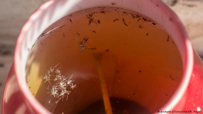 Kolumbien Bekämpfung Zika Virus