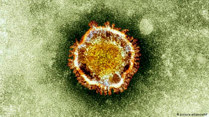 Coronavirus