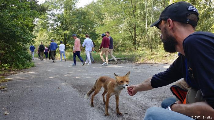 Der Fuchs Semjon in Tschenobyl Der Fuchs Semjon in Tschenobyl