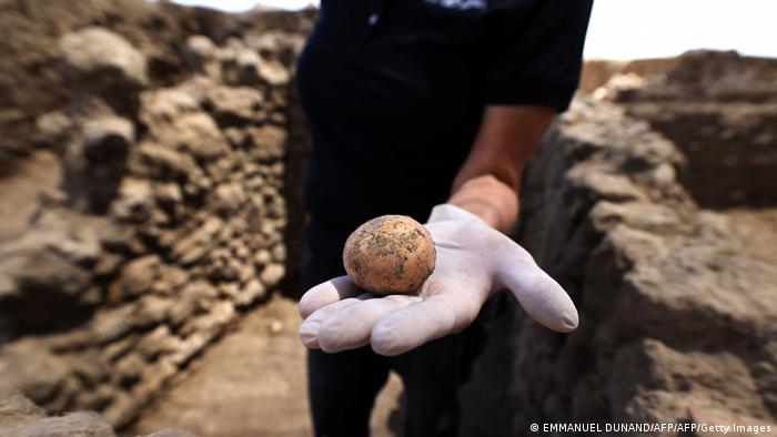 1,000 year-old intact chicken egg
