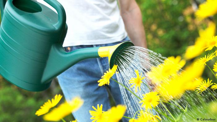Symbolbild Gießkanne Garten Frühling  Symbolbild Gießkanne Garten Frühling