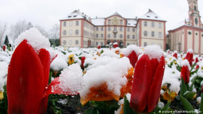 Wintereinbruch in Mainau  Wintereinbruch in Mainau
