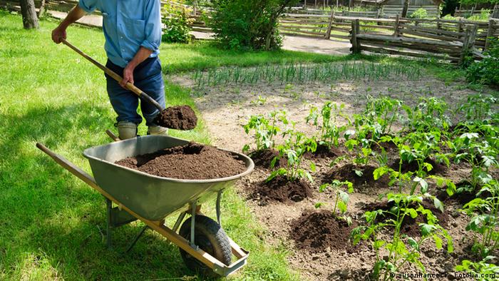Tauschringe Gartenarbeit Tauschringe Gartenarbeit