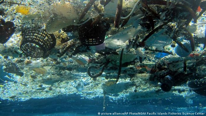 Hawaii Plastikmüll in den Ozeanen (picture-alliance/AP Photo/NOAA Pacific Islands Fisheries Science Center)