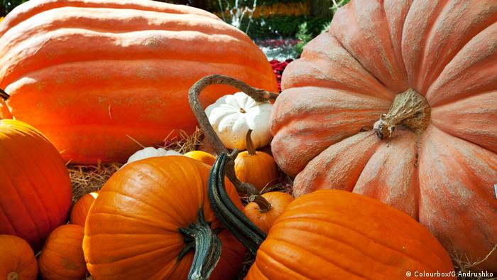 Kürbis (Colourbox/G.Andrushko) Kürbis (Colourbox/G.Andrushko)