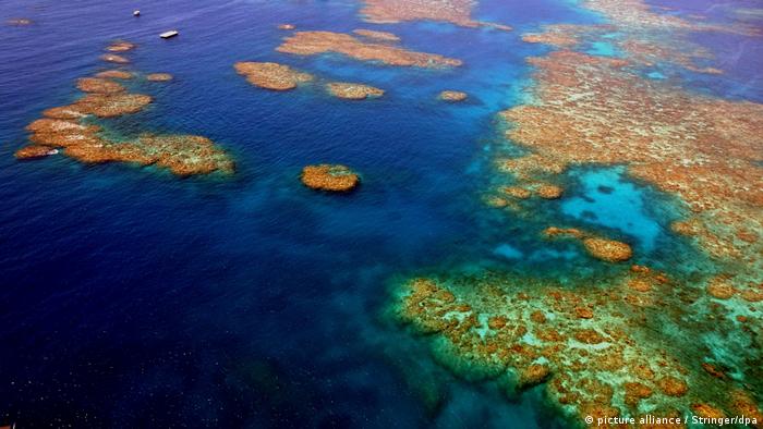 الحاجز المرجاني العظيم في استراليا