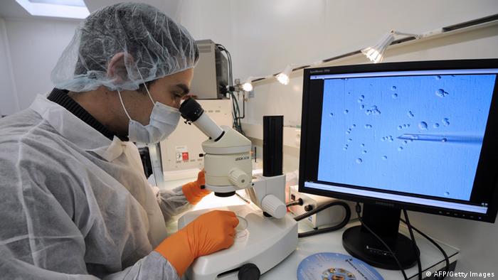 Symbolbild Stammzellen