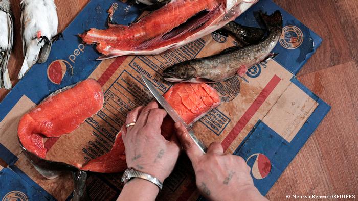 Katie Winters schneidet Fisch und bereitet Pitsik zu, den für die Region typischen getrockneten Fisch.