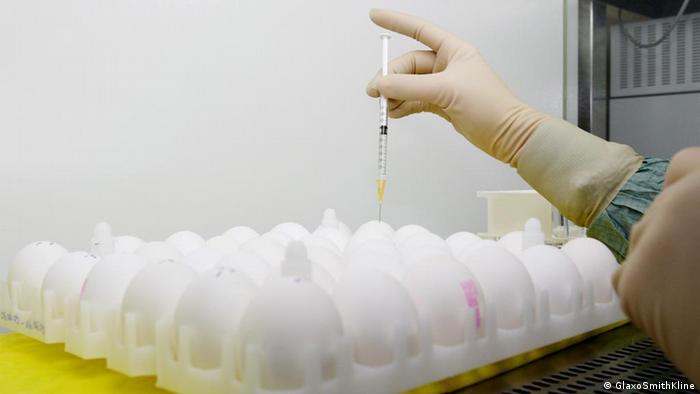 Grippeimpfstoff-Herstellung