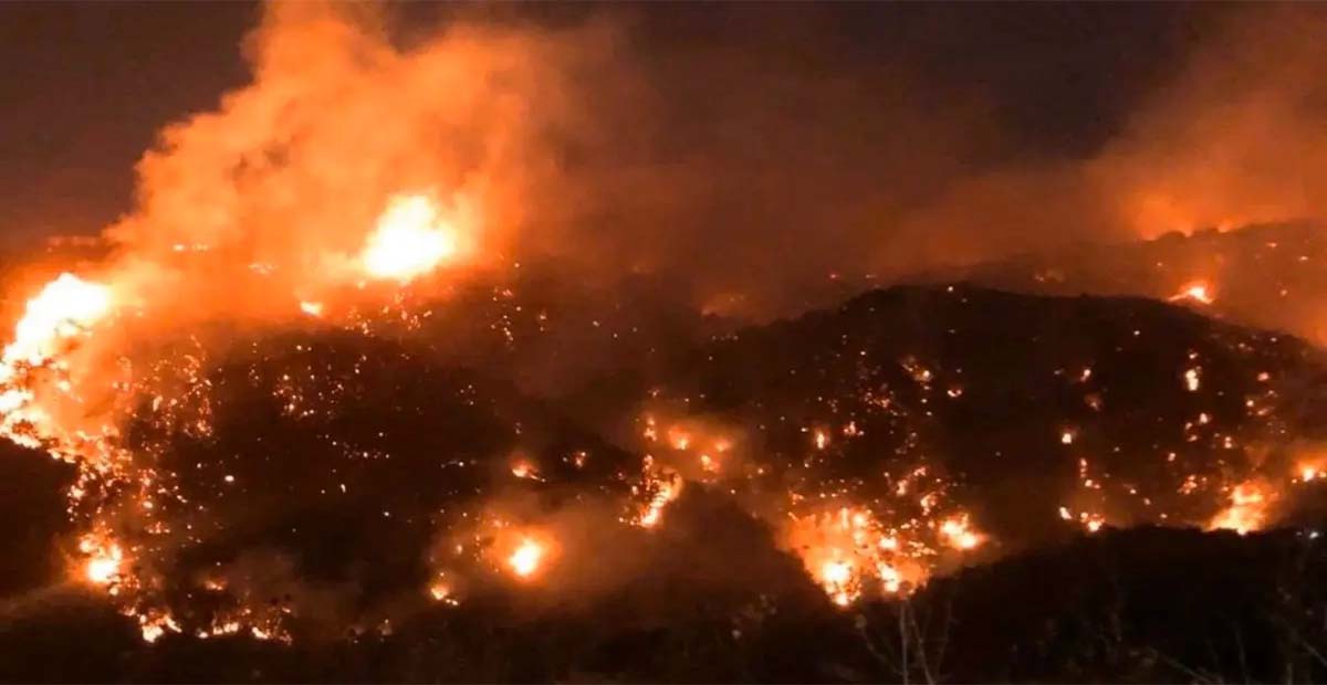 موسم الحرائق... لبنان أمام خسائر بيئية ضخمة