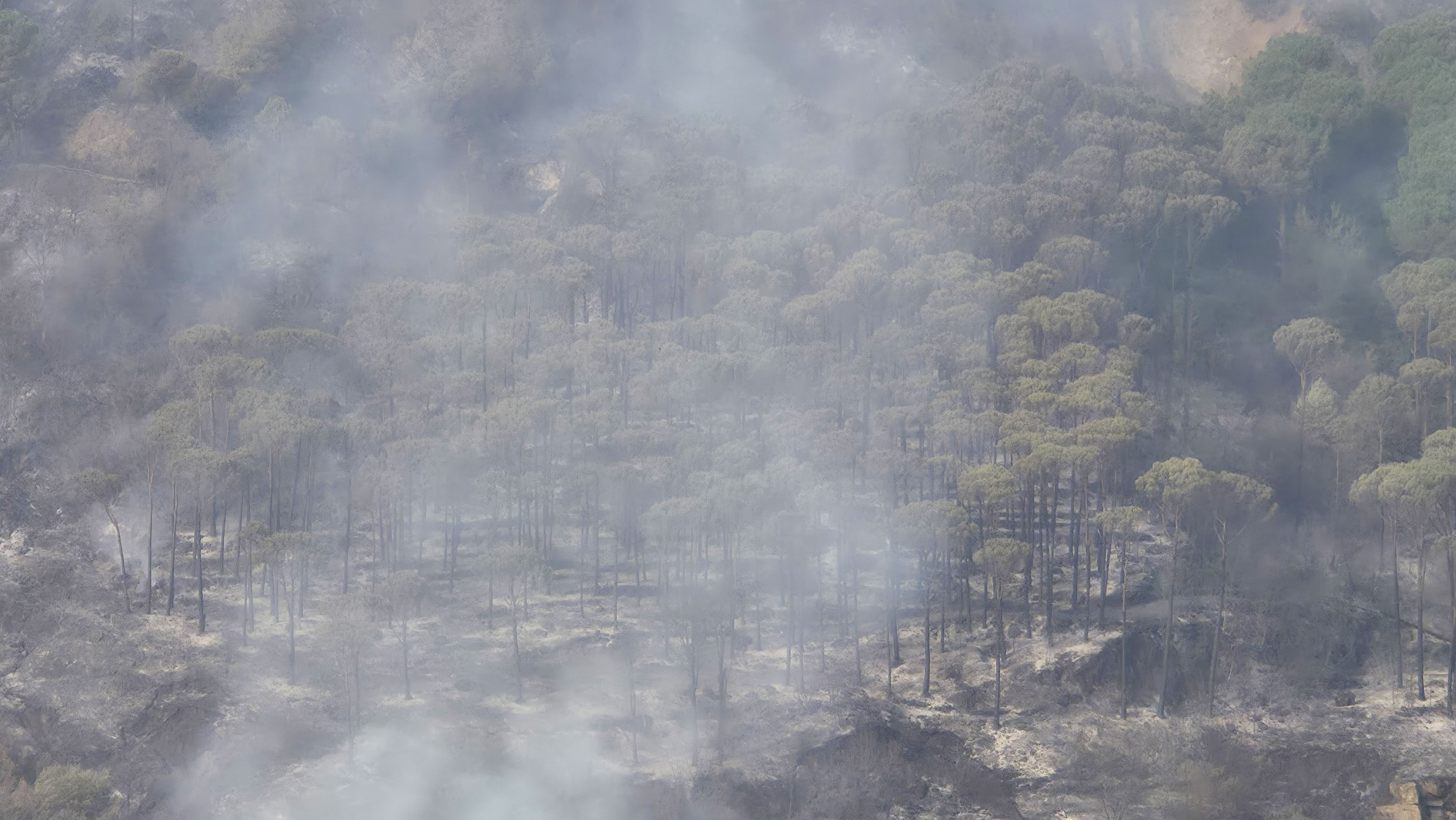 حرائق هائلة تندلع في لبنان وتوجيهات بالاستنفار الكامل