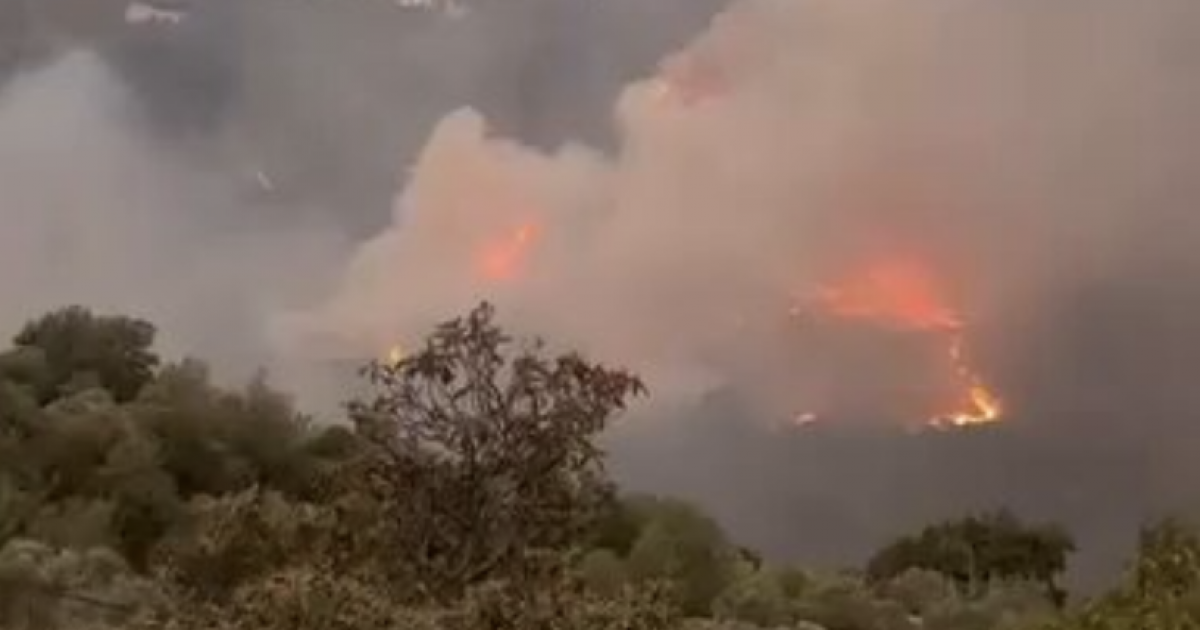 حرائق لبنان.. النيران تصل إلى بكاسين وأكبر غابة صنوبر في الشرق الأوسط | التلفزيون العربي